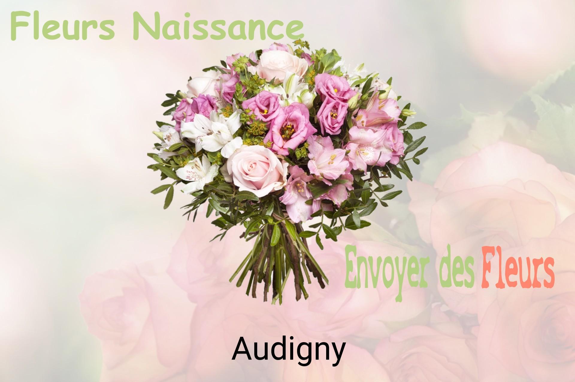 Bouquet de fleurs de naissance livré à Audigny