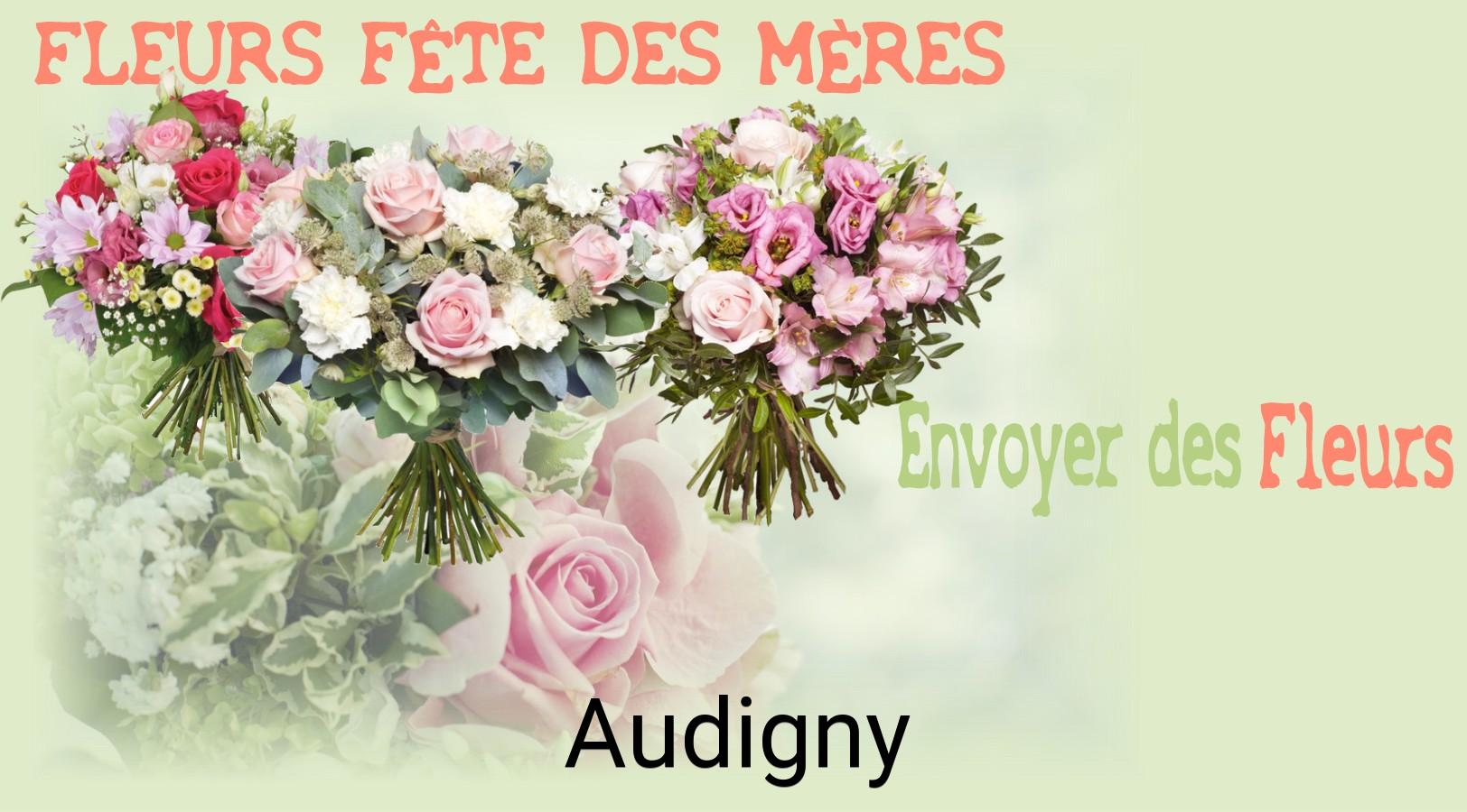Bouquet de Fête des Mères livré à Audigny